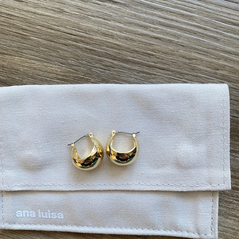 Ana Luisa Hoop earrings